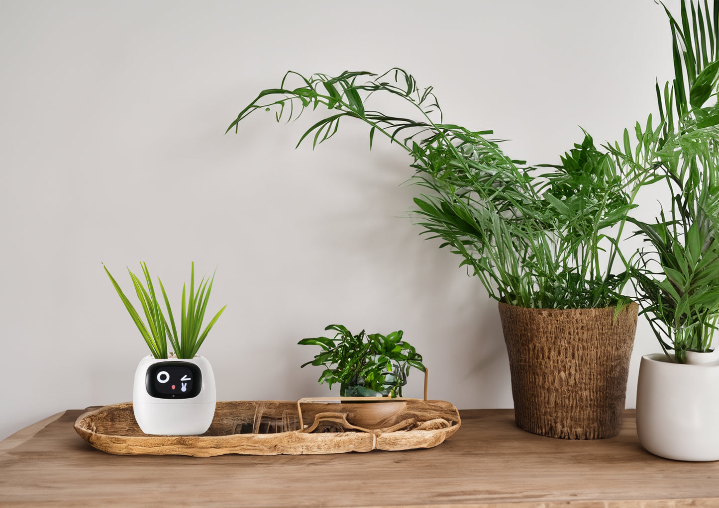 Smiley Smart Planter