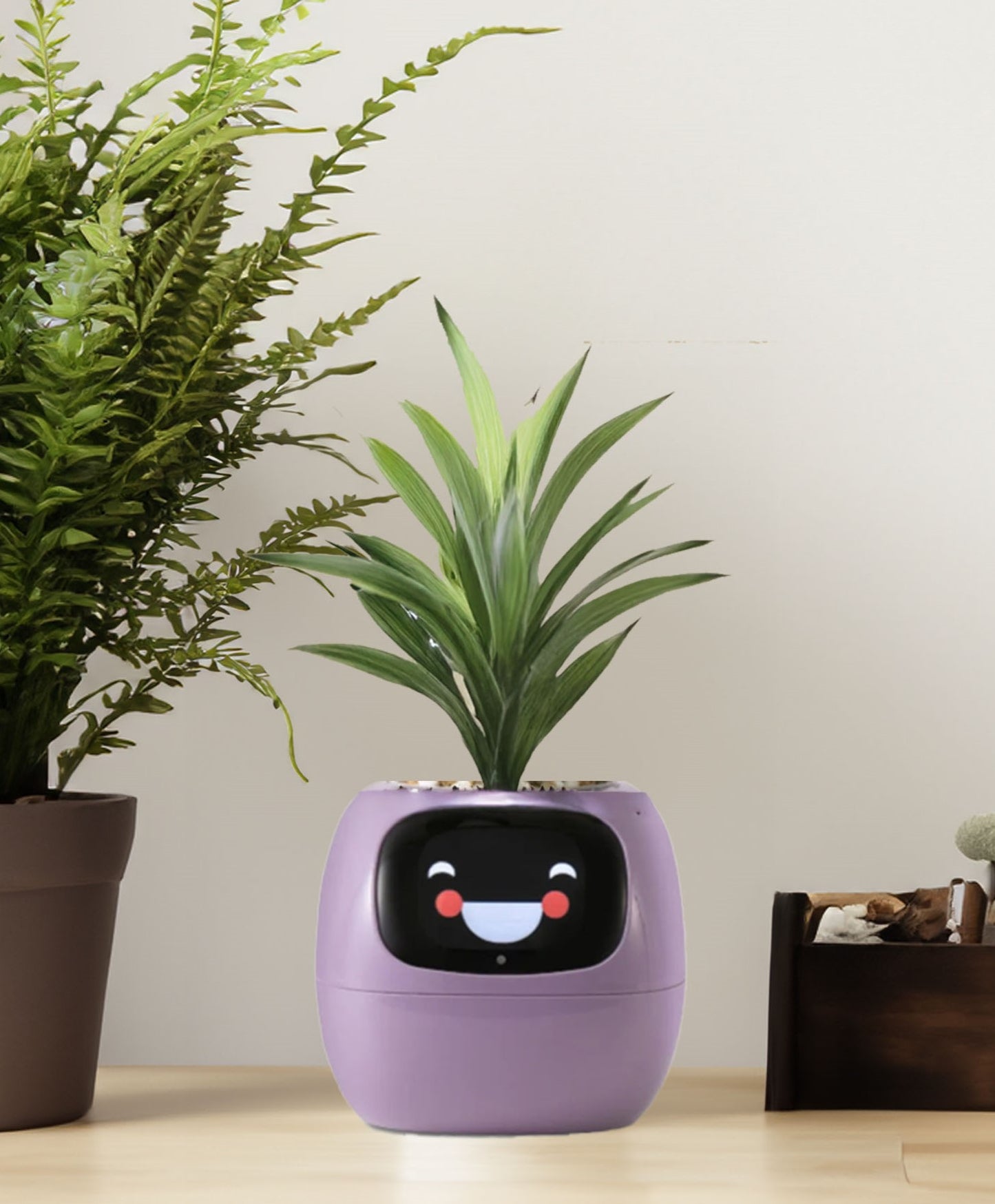 Smiley Smart Planter