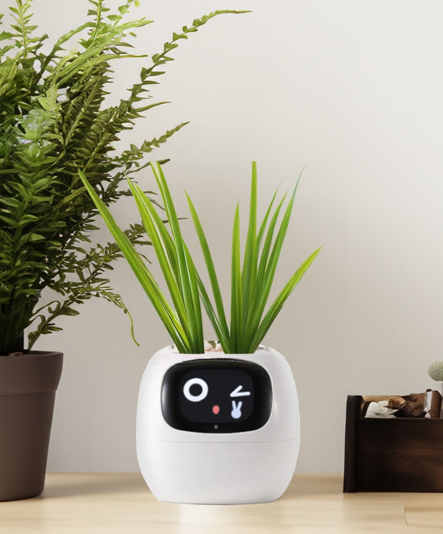 Smiley Smart Planter