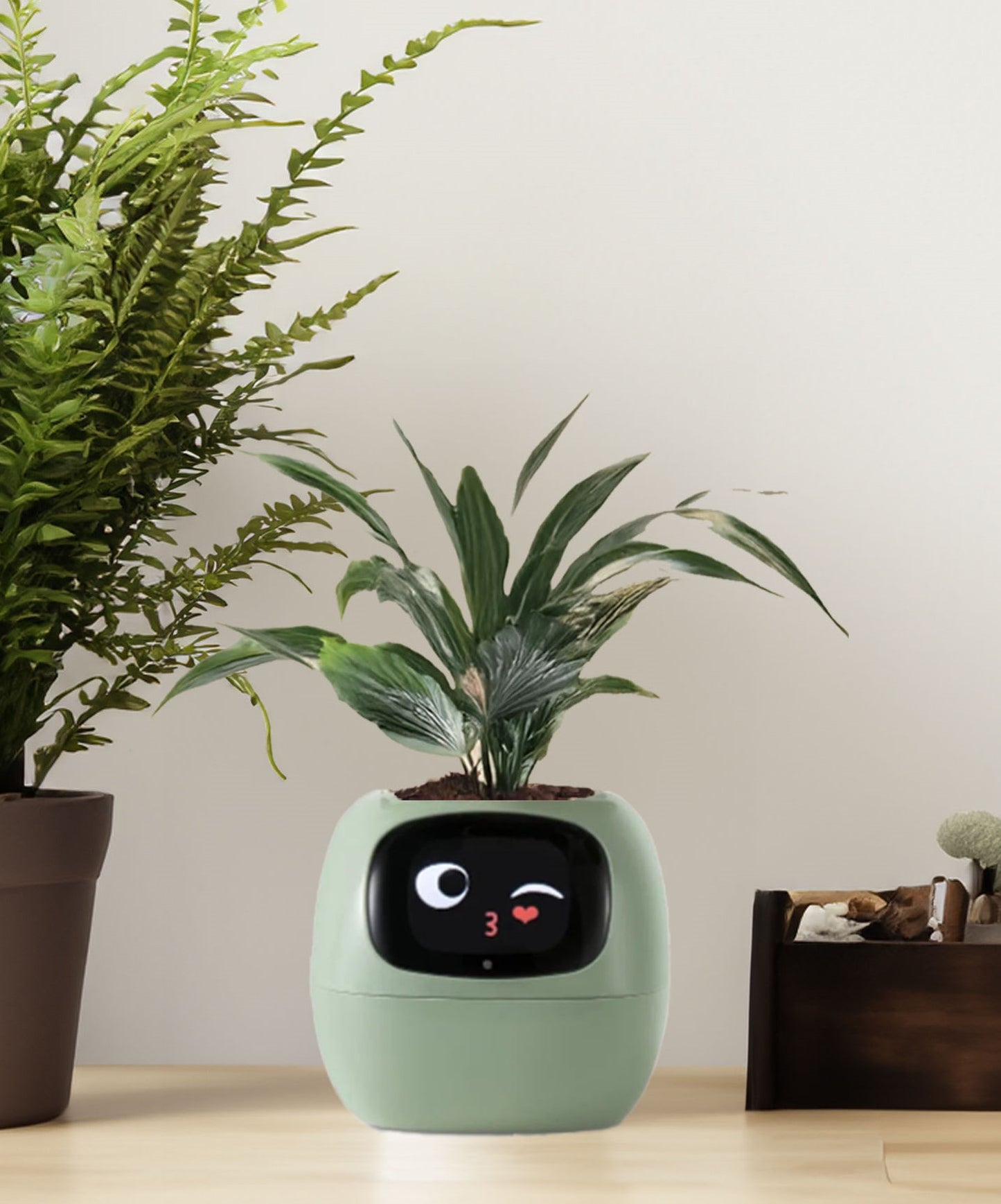 Smiley Smart Planter