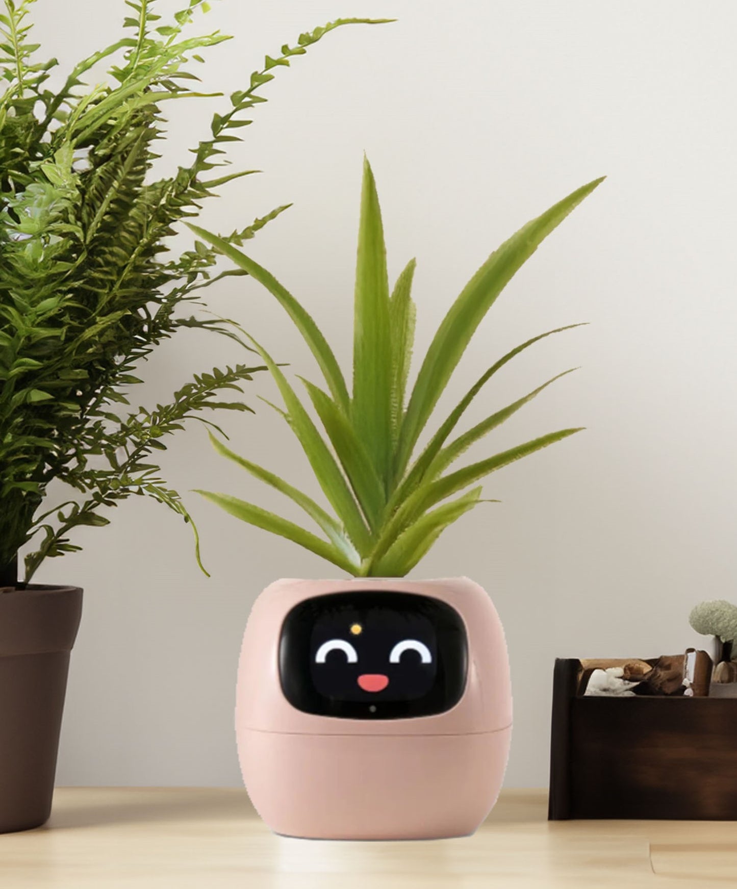 Smiley Smart Planter