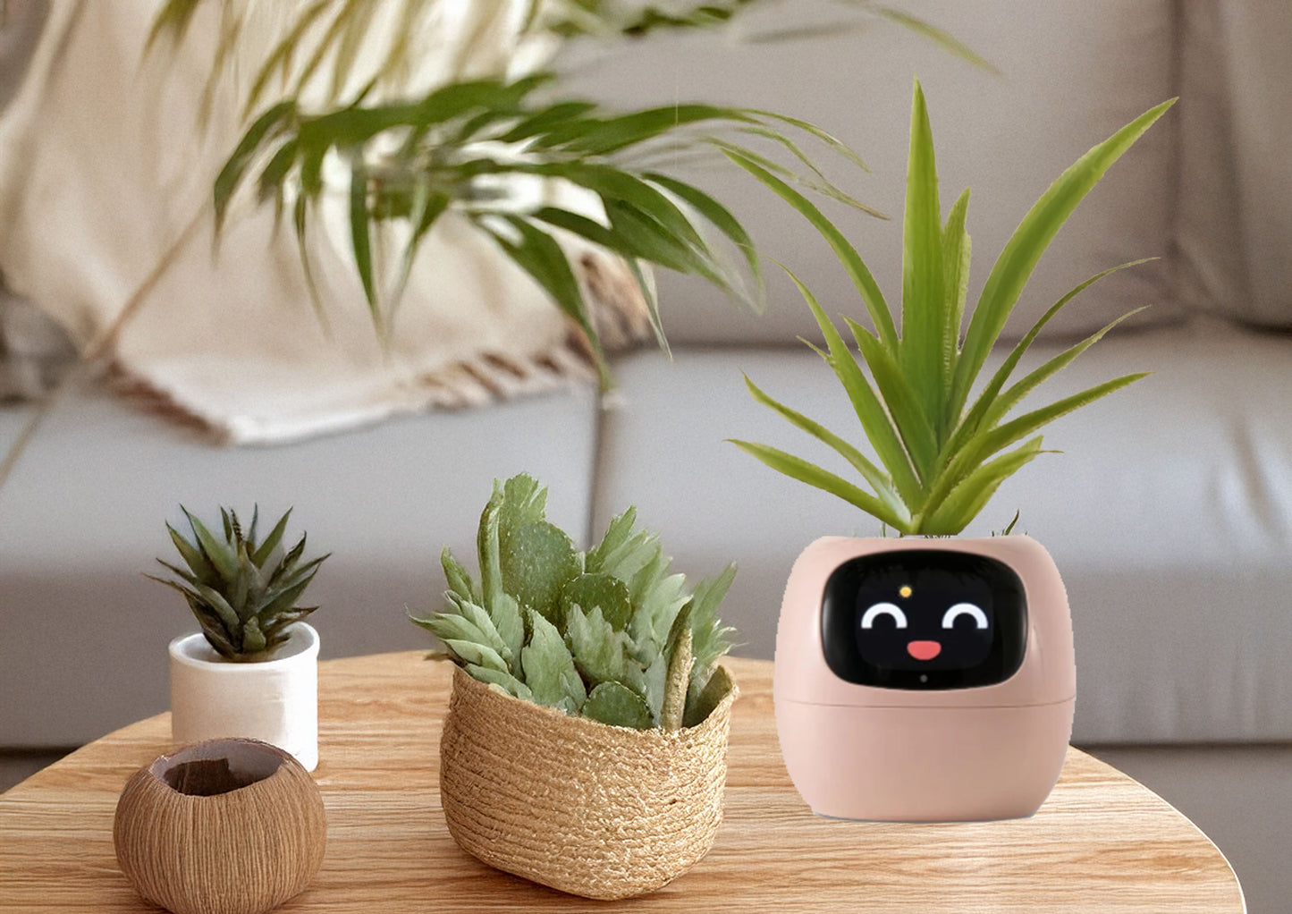 Smiley Smart Planter