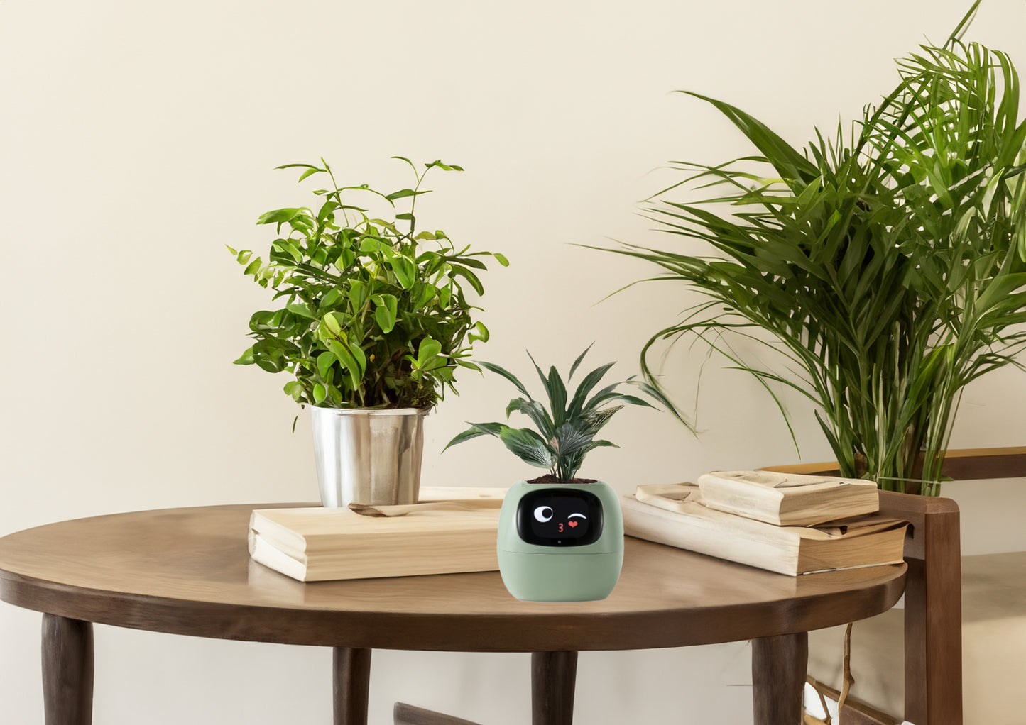 Smiley Smart Planter