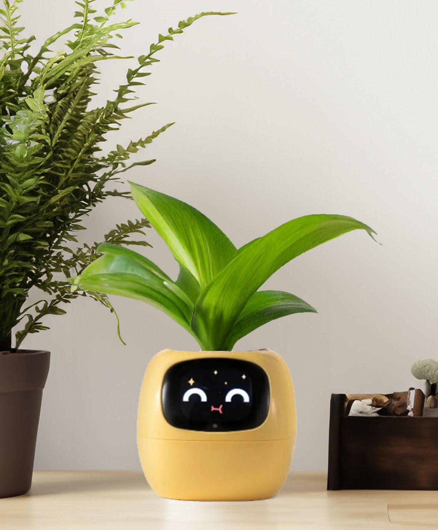 Smiley Smart Planter