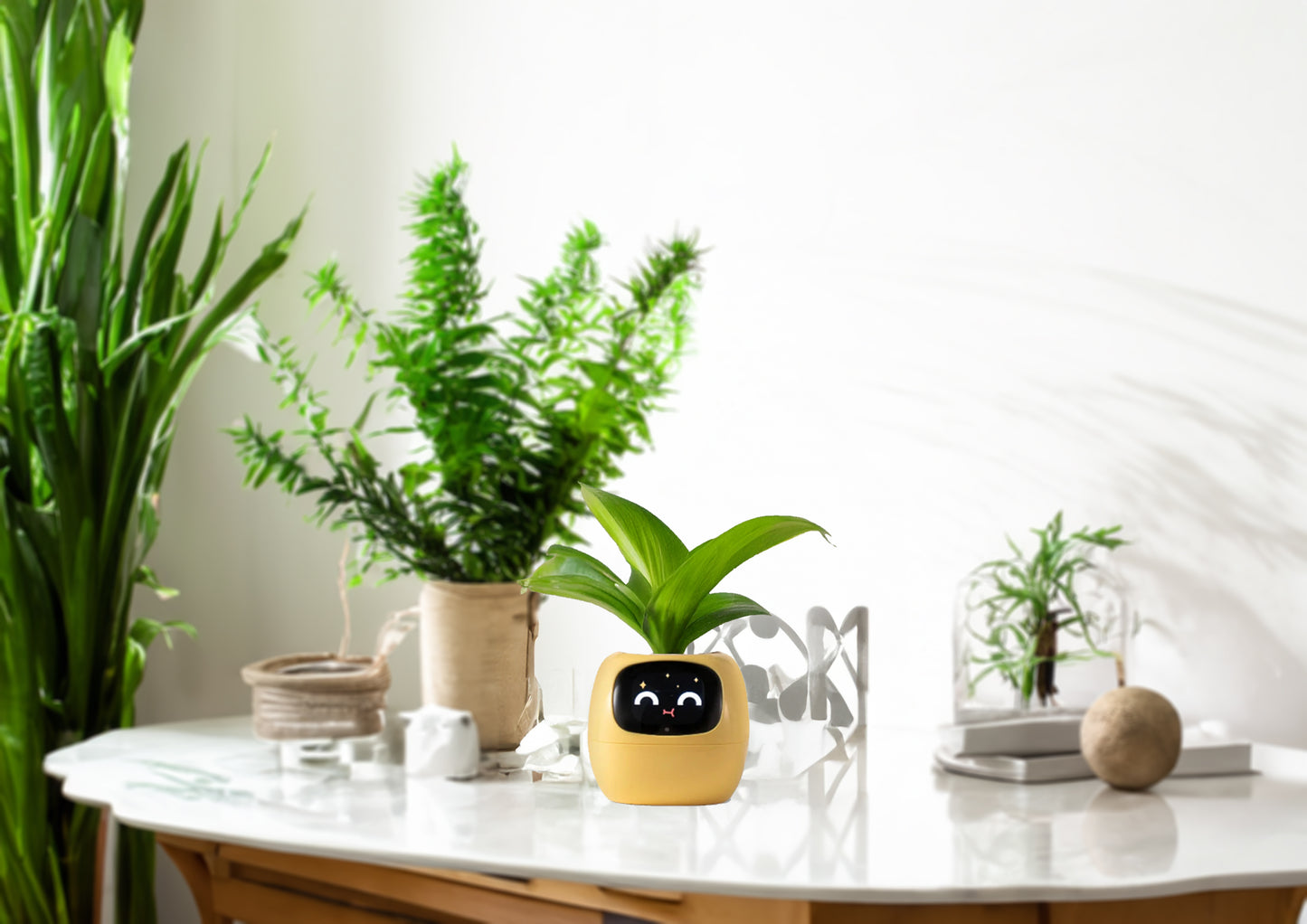 Smiley Smart Planter