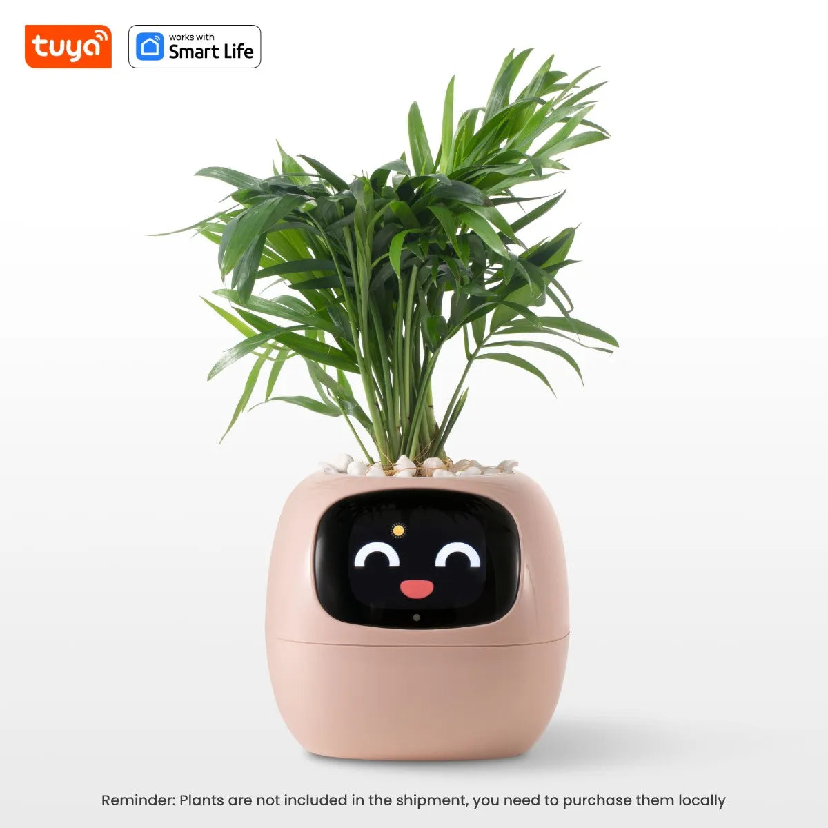 Smiley Smart Planter