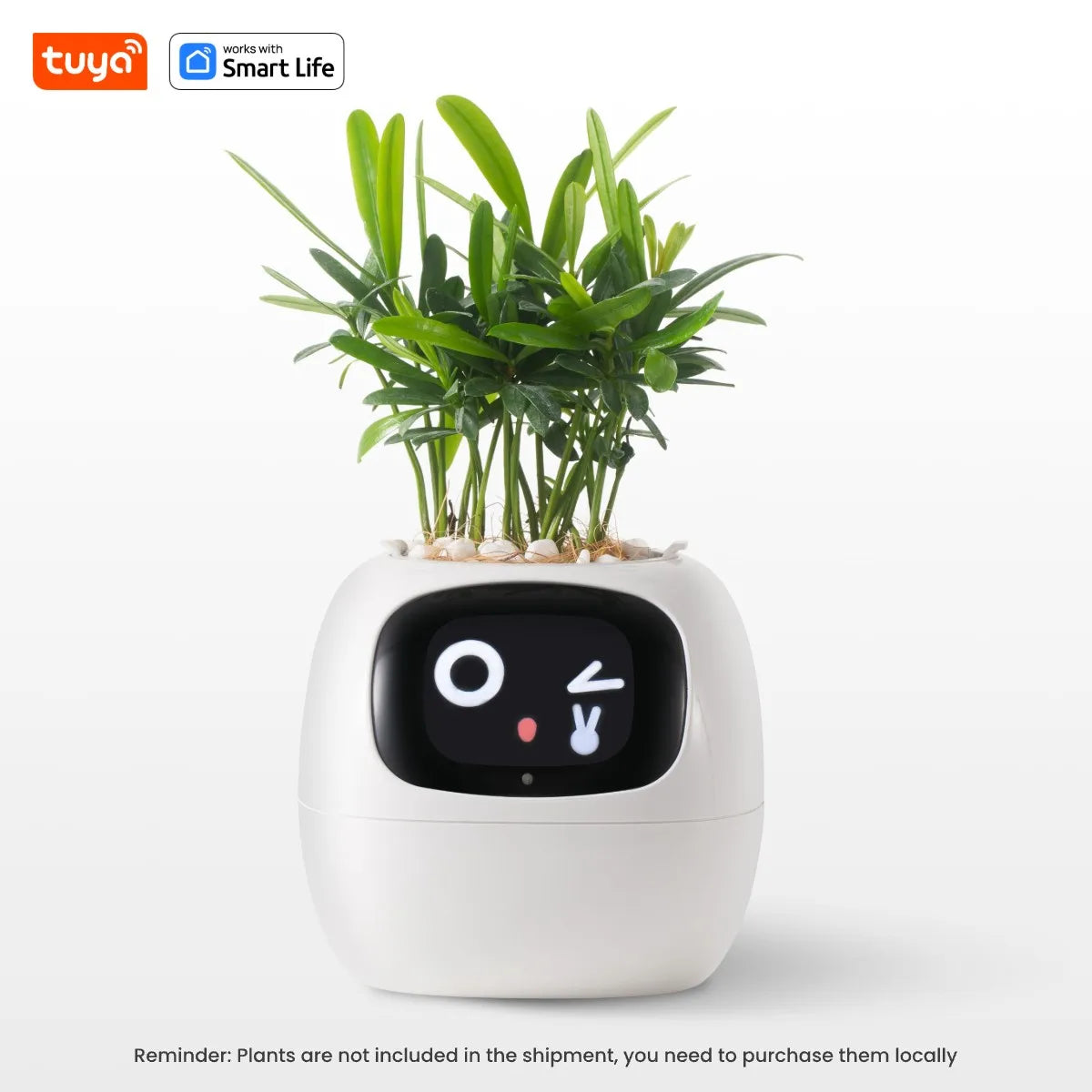 Smiley Smart Planter