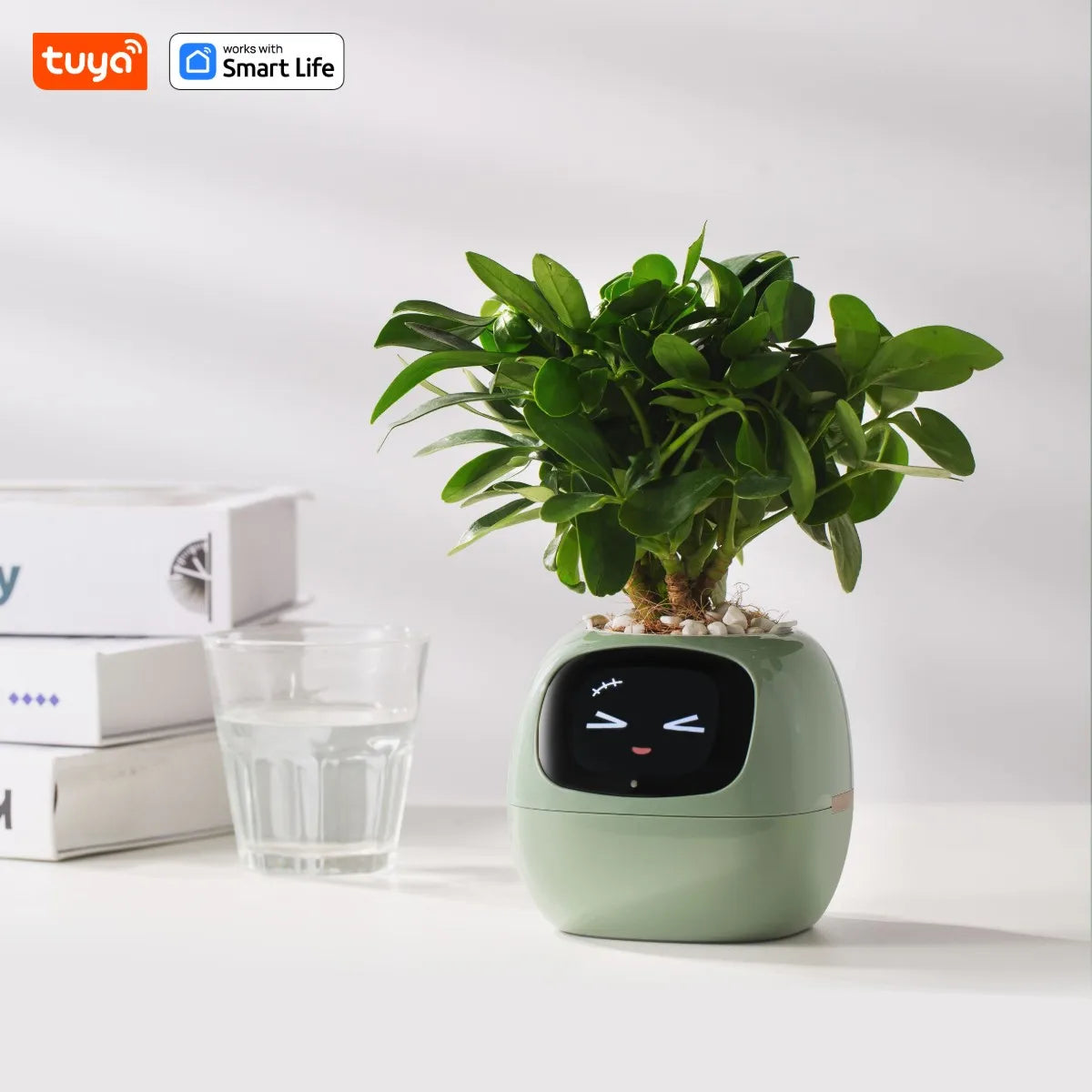 Smiley Smart Planter