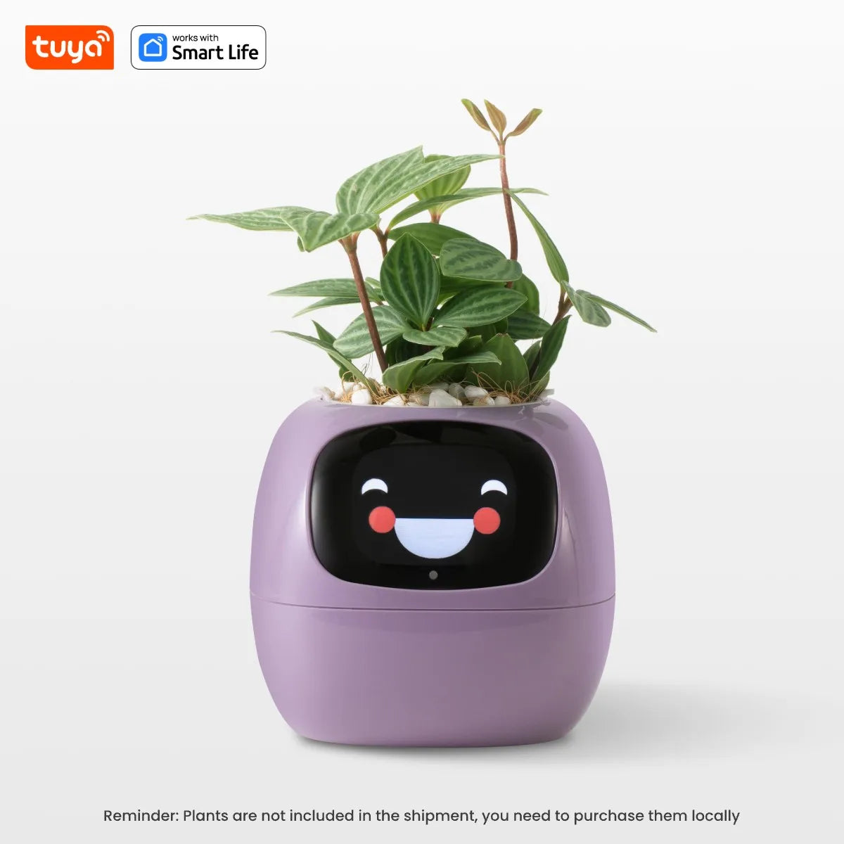 Smiley Smart Planter