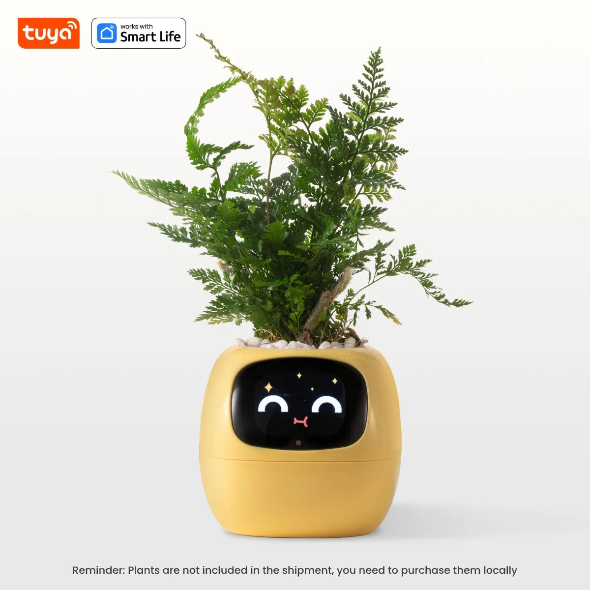 Smiley Smart Planter